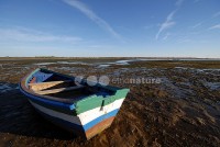 /album/cacela-velha/dsc-2826-copy-jpg/